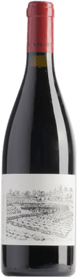 22,95 € Kostenloser Versand | Rotwein Viñedos do Gabian Xanledo D.O. Ribeiro Galizien Spanien Espadeiro, Brancellao, Caíño Flasche 75 cl