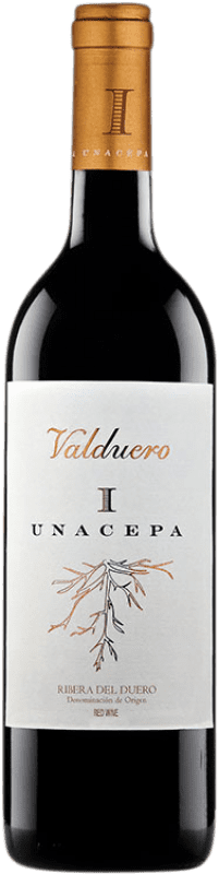 81,95 € Kostenloser Versand | Rotwein Valduero I Cepa D.O. Ribera del Duero Kastilien und León Spanien Tempranillo Magnumflasche 1,5 L