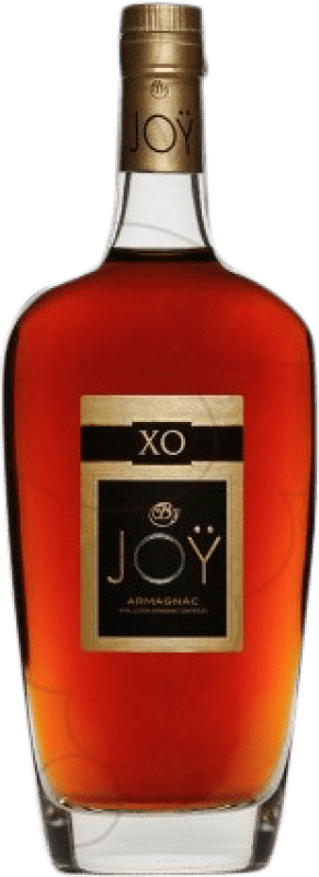 65,95 € Envío gratis | Armagnac Domaine de Joy X.O. Francia Botella 70 cl