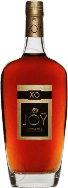 45,95 € Envío gratis | Armagnac Joy X.O. Francia Botella 70 cl