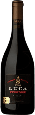 25,95 € Spedizione Gratuita | Vino rosso Luca Wines Laura Catena Crianza I.G. Valle de Uco Uco Valley Argentina Pinot Nero Bottiglia 75 cl