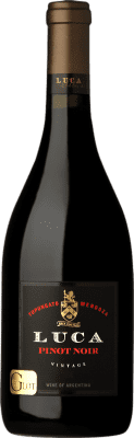 26,95 € Envio grátis | Vinho tinto Luca Wines Laura Catena Crianza I.G. Valle de Uco Vale do Uco Argentina Pinot Preto Garrafa 75 cl