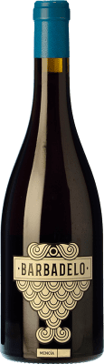 10,95 € Kostenloser Versand | Rotwein Terrae Barbadelo D.O. Ribeira Sacra Galizien Spanien Mencía 75 cl