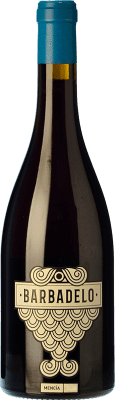 9,95 € Envoi gratuit | Vin rouge Terrae Barbadelo D.O. Ribeira Sacra Galice Espagne Mencía Bouteille 75 cl