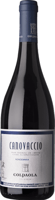 16,95 € Envío gratis | Vino Tinto Colpaola Canovaccio I.G.T. Marche Marche Italia Merlot 75 cl