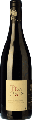 Domaine des Roches Neuves Terres Chaudes Cabernet Franc 75 cl