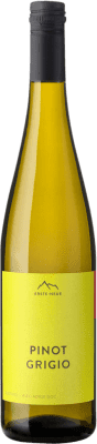 18,95 € 送料無料 | 白ワイン Erste Neue D.O.C. Alto Adige トレンティーノアルトアディジェ イタリア Pinot Gris — ピノ・グリ 75 cl