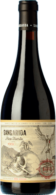 26,95 € Бесплатная доставка | Красное вино Attis Sangarida Pico Tuerto D.O. Bierzo Кастилия-Леон Испания Mencía бутылка 75 cl