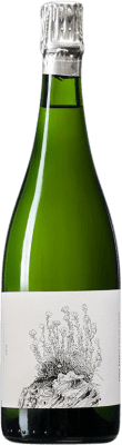 43,95 € 免费送货 | 白起泡酒 Espelt Anna Espelt Cap de Creus D.O. Empordà 加泰罗尼亚 西班牙 Monastrell 瓶子 75 cl