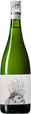 47,95 € Envoi gratuit | Vin Mousseux Blanc Espelt Anna Espelt Cap de Creus D.O. Empordà Catalogne Espagne Monastrell 75 cl