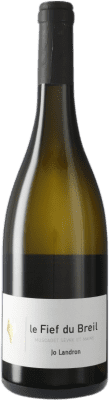 39,95 € Free Shipping | White wine Landron Le Fief du Breil A.O.C. Muscadet-Sèvre et Maine Loire France Melon de Bourgogne Bottle 75 cl