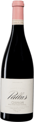 Domaine de Pallus Cabernet Franc 75 cl