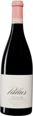 28,95 € Envío gratis | Vino tinto Pallus A.O.C. Chinon Loire Francia Cabernet Franc Botella 75 cl