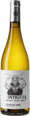 14,95 € Kostenloser Versand | Weißwein Batlliu de Sort Pantigana D.O. Costers del Segre Spanien Grenache Weiß, Macabeo Flasche 75 cl