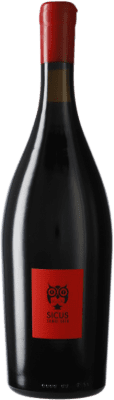 25,95 € Free Shipping | Red wine Sicus Sumoi Àmfora D.O. Penedès Catalonia Spain Sumoll Bottle 75 cl