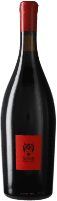27,95 € Kostenloser Versand | Rotwein Sicus Sumoi Àmfora D.O. Penedès Katalonien Spanien Sumoll Flasche 75 cl