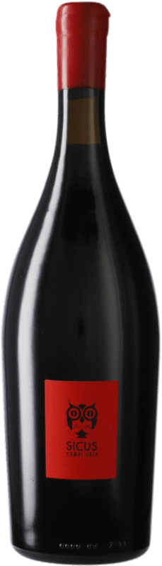 18,95 € Free Shipping | Red wine Sicus Sumoi Àmfora D.O. Penedès Catalonia Spain Sumoll Bottle 75 cl