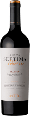 21,95 € Spedizione Gratuita | Vino rosso Séptima Obra I.G. Mendoza Luján de Cuyo Argentina Malbec Bottiglia 75 cl