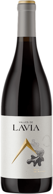 18,95 € Envío gratis | Vino tinto Lavia Valle Aceniche D.O. Bullas Región de Murcia España Monastrell Botella 75 cl