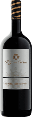 Pago de Cirsus Vendimia Seleccionada Vino de Pago Finca Bolandín 高齢者 1,5 L