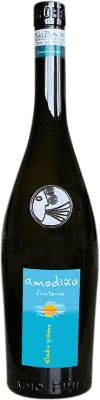 21,95 € Free Shipping | White Wine Eladio Piñeiro Amodiño Finis Terrae D.O. Rías Baixas Galicia Spain Albariño — Albarinho 75 cl