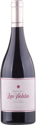 18,95 € 免费送货 | 红酒 Soto y Manrique Las Violetas D.O.P. Cebreros 卡斯蒂利亚莱昂 西班牙 Grenache 瓶子 75 cl