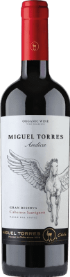 Torres Ándica Cabernet Sauvignon — カベルネ・ソーヴィニヨン 75 cl